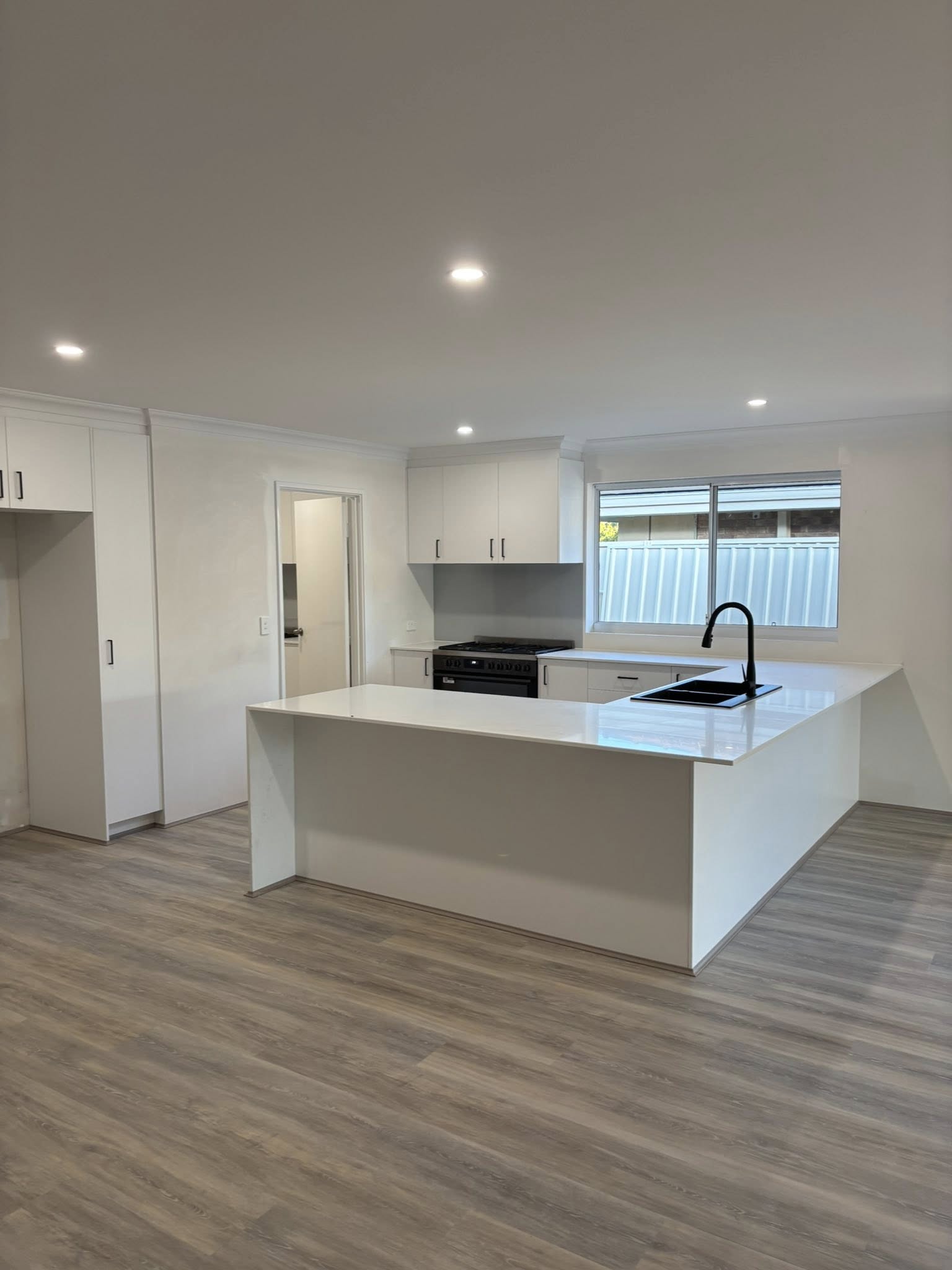 Modern Kitchen Renovation